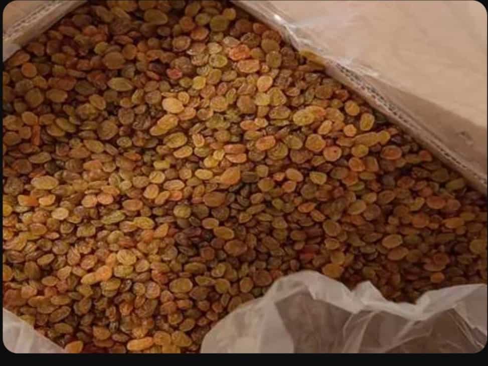 خرید کشمش پلویی