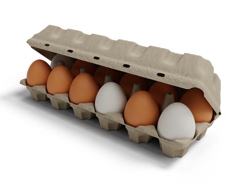 تصویر 4 از شانه تخم مرغ محافظت حمل آسان