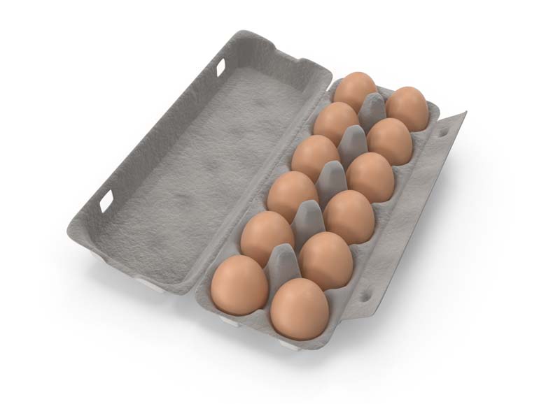 تصویر 3 از شانه تخم مرغ محافظت حمل آسان
