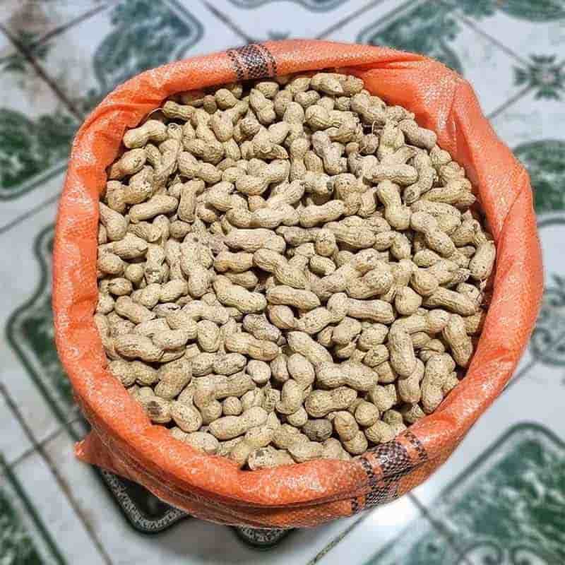 تصویر 2 از بادام زمینی با پوست تازه و درجه یک