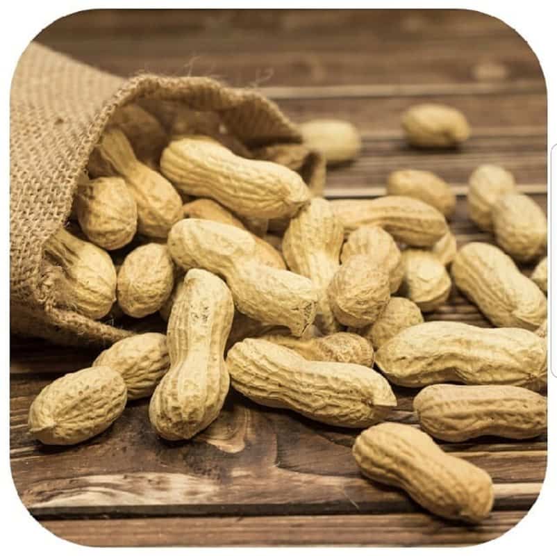 تصویر 4 از بادام زمینی با پوست تازه و درجه یک