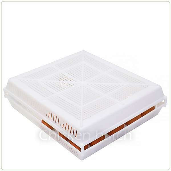 تصویر 5 از شانه تخم مرغ طرح جذاب کاربرد منحصر به فرد