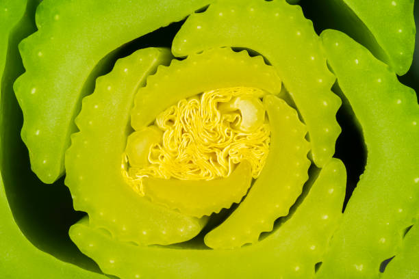 تصویر 2 از کرفس سبز ممتاز تازه مناسب بسته‌ بندی صادراتی حرفه‌ ای