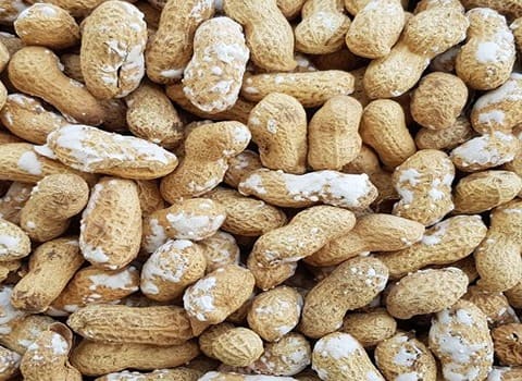 بادام زمینی با پوست شور با طعم خاص و عالی