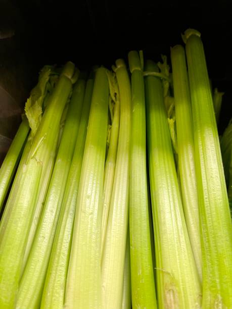 تصویر 4 از کرفس صادراتی درجه یک با کیفیت تضمینی تولید کننده