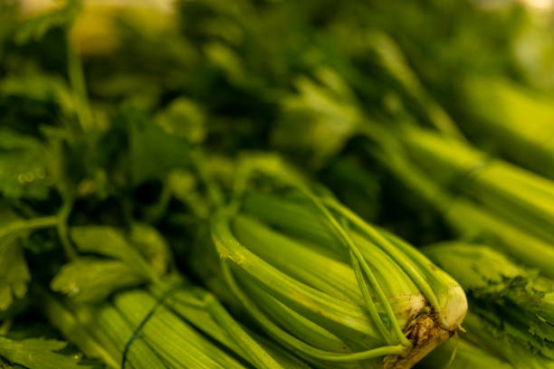 تصویر 3 از کرفس خوش‌ خوراک مناسب انواع خوراک و خورشت