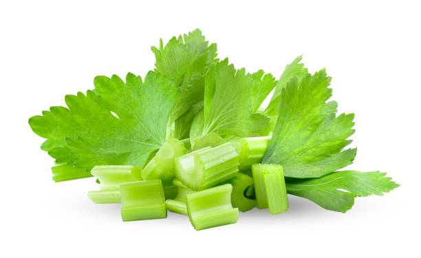 تصویر 2 از کرفس خوش‌ خوراک مناسب انواع خوراک و خورشت