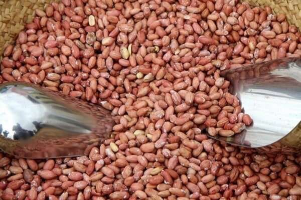 بادام زمینی با پوست قرمز محصولی پرطرفدار