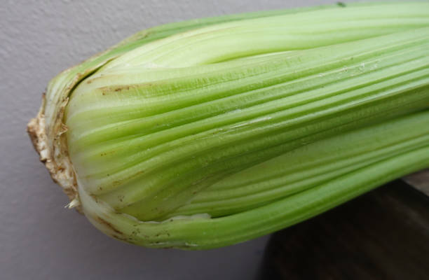 تصویر 2 از کرفس سالم صادراتی مناسب مشتریان حساس به کیفیت