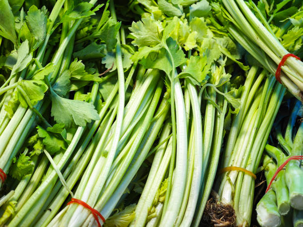 تصویر 2 از کرفس تازه خوش‌ رنگ مناسب ویترین فروشگاهی