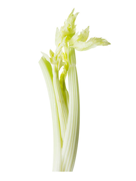 تصویر 4 از کرفس تازه خوش‌ رنگ مناسب ویترین فروشگاهی