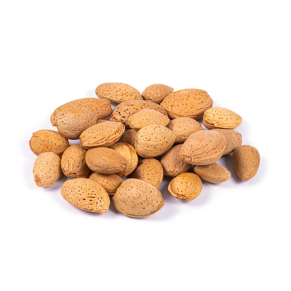 خرید و فروش بهترین بادام سنگی + قیمت عمده