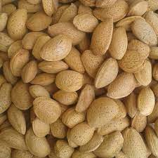 قیمت بادام کاغذی امریکایی + خرید عمده