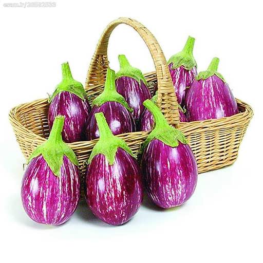 تصویر 2 از بادمجان مینیاتوری با ظاهر سالم و بدون لک