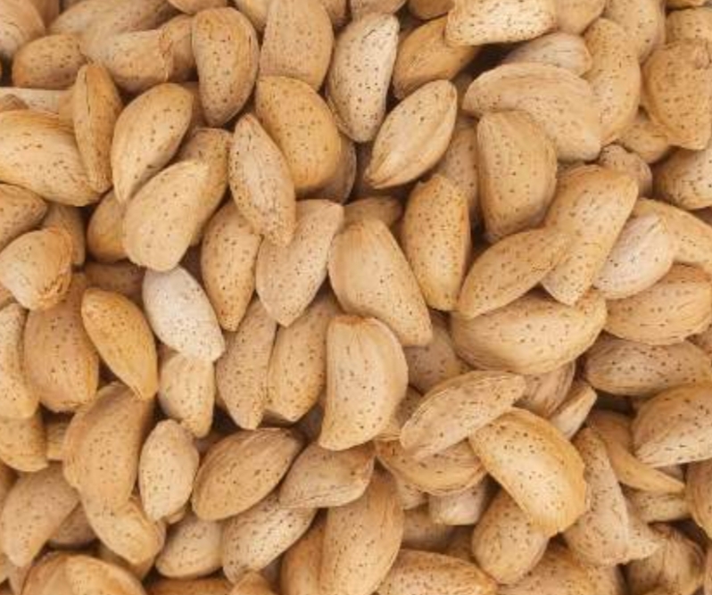 فروش بادام مامایی