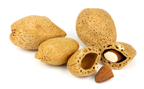 تصویر 4 از بادام مامایی طبیعی خشک بدون افزودنی برای پذیرایی در مجالس