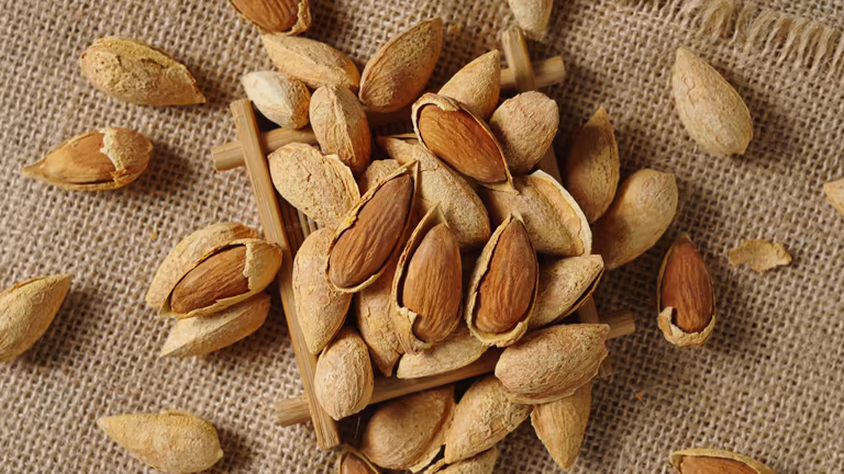 تصویر 3 از بادام مامایی طبیعی خشک بدون افزودنی برای پذیرایی در مجالس