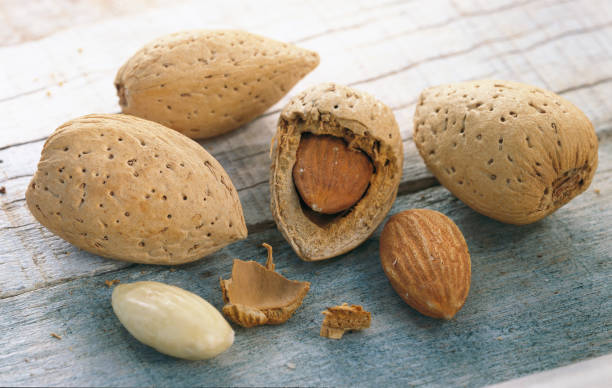 تصویر 2 از بادام مامایی طبیعی خشک بدون افزودنی برای پذیرایی در مجالس