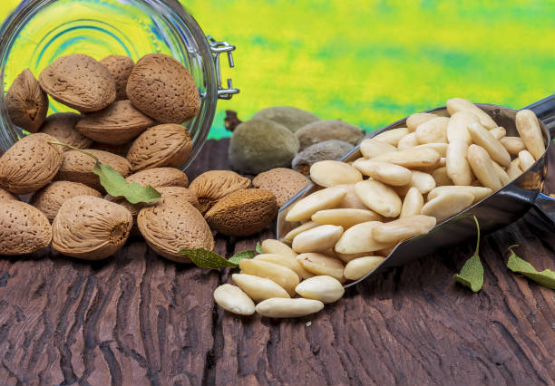 تصویر 5 از بادام مامایی با پوست قهوه ای روشن درشت ویژه صادرات