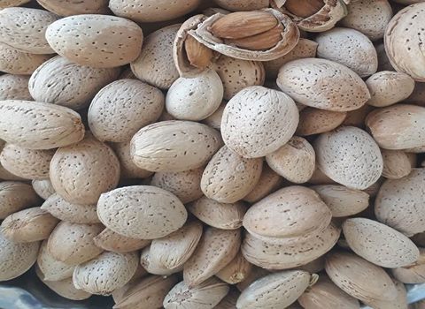 تصویر 3 از مغز بادام مامایی برشته با نمک دریا مناسب استفاده در آجیل‌