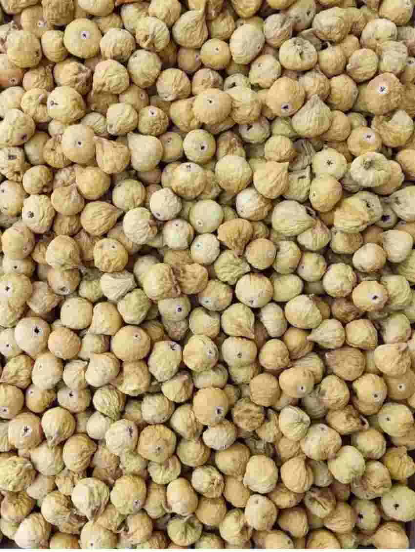 فروش انجیر زرد