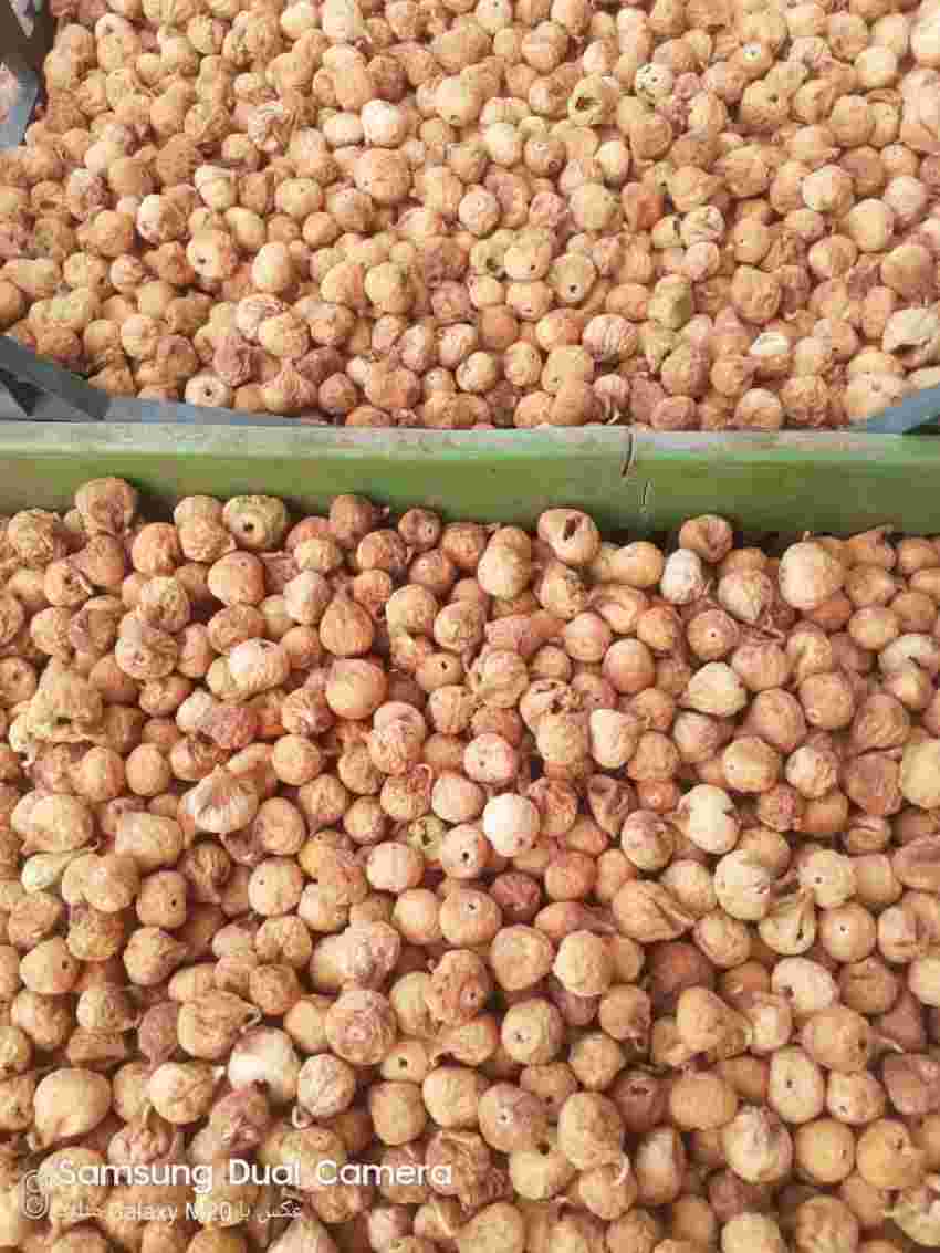 تصویر 5 از خرید و فروش عمده انجیر خشک زرد | سورت صادراتی و تأمین مستقیم