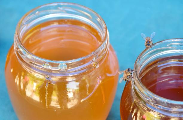 تصویر 2 از عسل کنار با خواص درمانی مناسب تقویت سیستم ایمنی