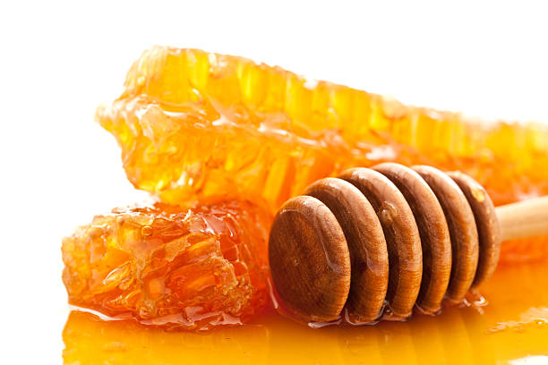 تصویر 4 از عسل کنار با خواص درمانی مناسب تقویت سیستم ایمنی