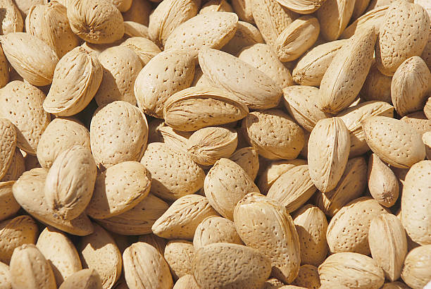 تصویر 4 از بادام درختی با درصد چربی بالا مناسب استخراج روغن خوراکی