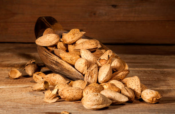 تصویر 2 از بادام درختی با درصد چربی بالا مناسب استخراج روغن خوراکی