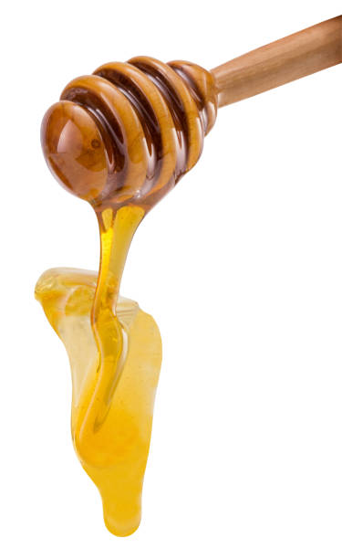 تصویر 1 از عسل گون باعث افزایش انرژی و بهبود کم خونی