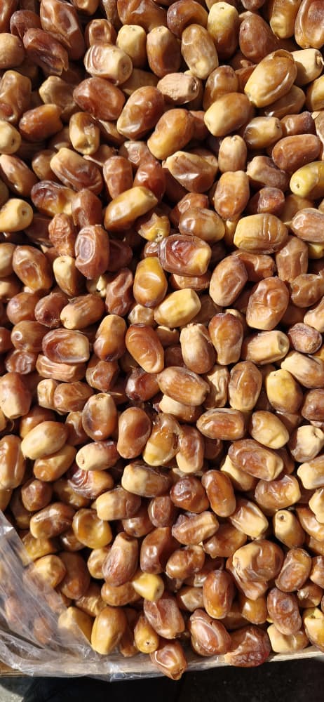 تصویر 1 از خرما زاهدی قصب بوشهر بهترین کیفیت داخلی صادراتی قیمت مناسب