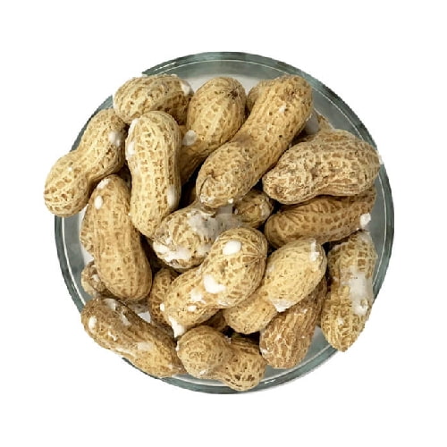 تصویر 3 از بادام زمینی غلاف دار یکی از گزینه های محبوب و سالم