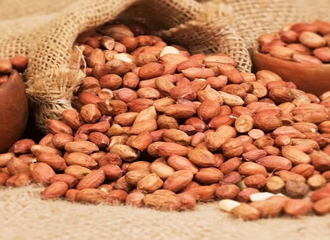 تصویر 3 از بادام زمینی ریز انتخابی اقتصادی و پرکاربرد