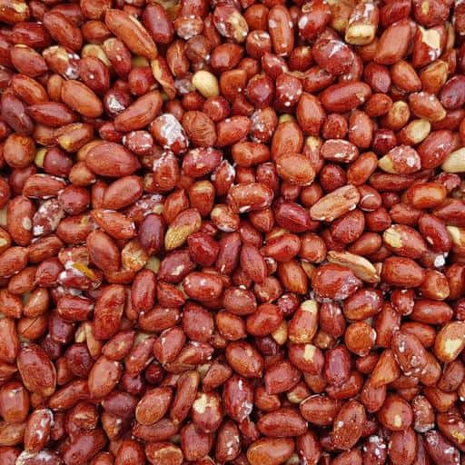 تصویر 4 از بادام زمینی فله ای گزینه ای فوق العاده اقتصادی