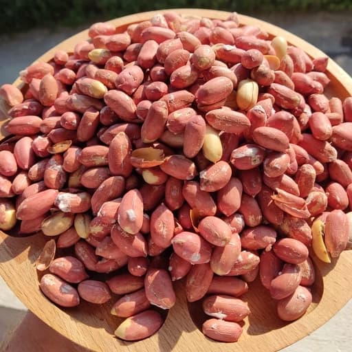 تصویر 2 از بادام زمینی فله ای گزینه ای فوق العاده اقتصادی