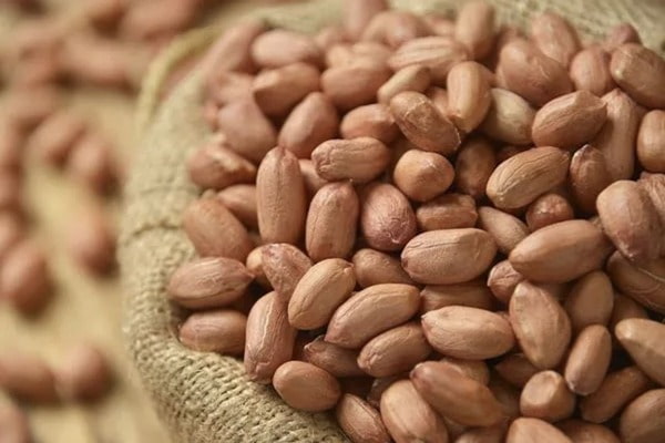 تصویر 2 از بادام زمینی دشت مغان محصولی معروف از دشت مغان