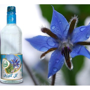 خرید گل گاوزبان