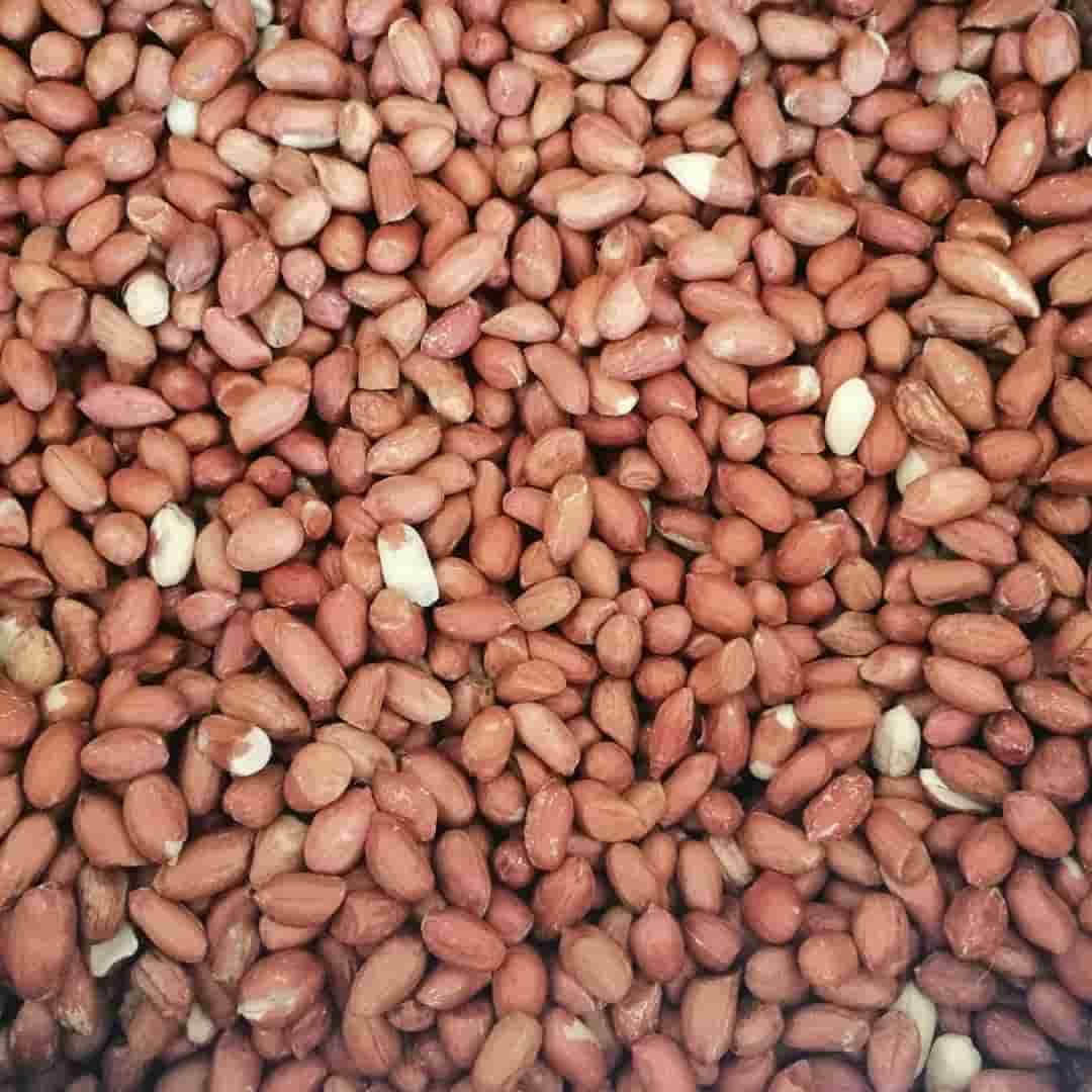 تصویر 2 از بادام زمینی بو داده برای استفاده روزانه و رژیمی