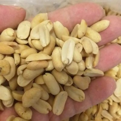 تصویر 1 از بادام زمینی معروف گیلان با کیفیت ممتاز و طعم بی‌ نظیر