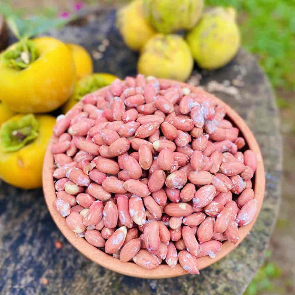 تصویر 4 از بادام زمینی معروف گیلان با کیفیت ممتاز و طعم بی‌ نظیر