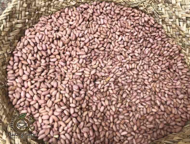 تصویر 2 از بادام زمینی معروف گیلان با کیفیت ممتاز و طعم بی‌ نظیر