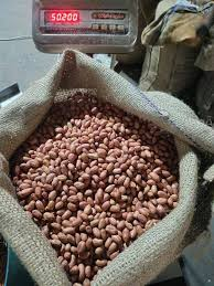 تصویر 2 از بادام زمینی هندی، محصولی وارداتی با کیفیت بالا