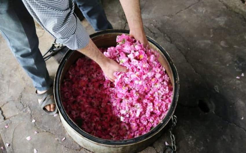 تصویر 1 از گلاب ممتاز خالص خوش عطر مخصوص لحظه های خاص