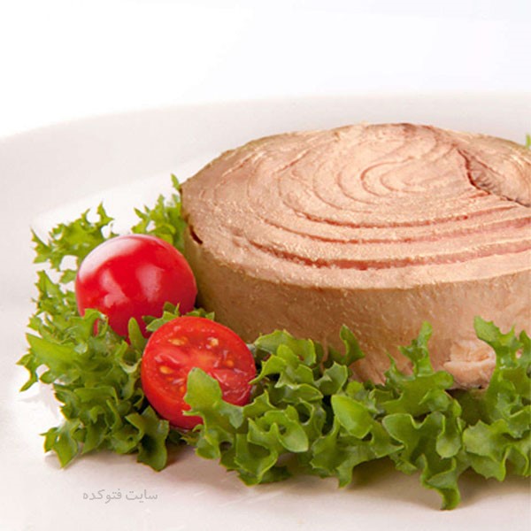 کنسرو تن ماهی مارلین با پروتئین بالا