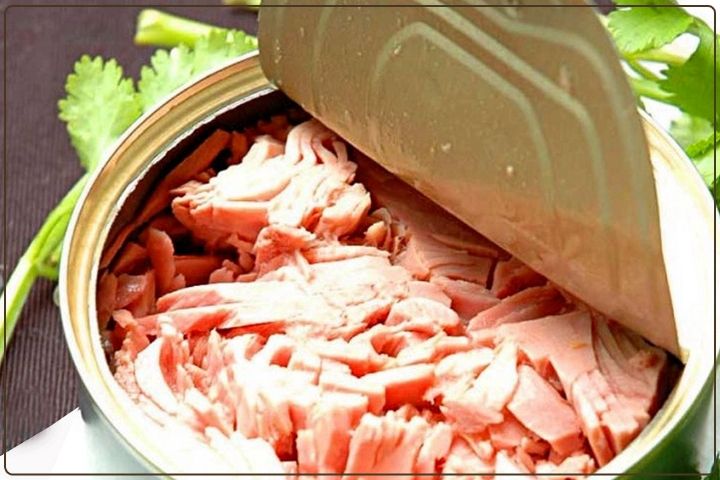 کنسرو تن ماهی صورتی با ادویه ملایم