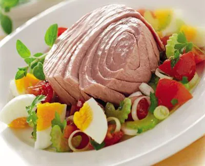 کنسرو تن ماهی رضا آماده مصرف