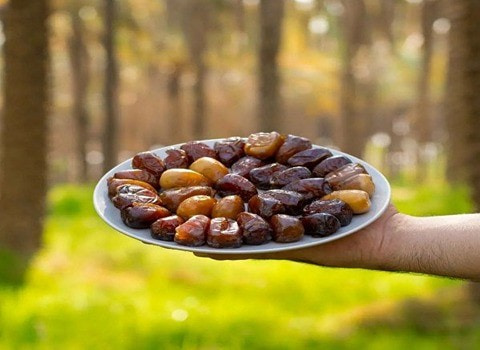 تصویر 4 از رطب عسلی کبکاب + قیمت خرید