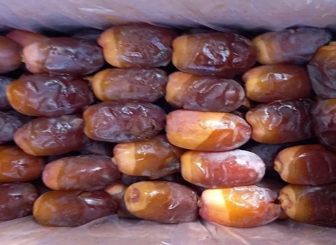 تصویر 3 از خرید رطب عسلی ویژه صادرات