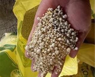 تصویر 1 از گوگرد گرانول شیراز تولید شده بر اساس استاندارد های فنی